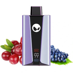 WAKA soPro 20000 - Клюква Виноград